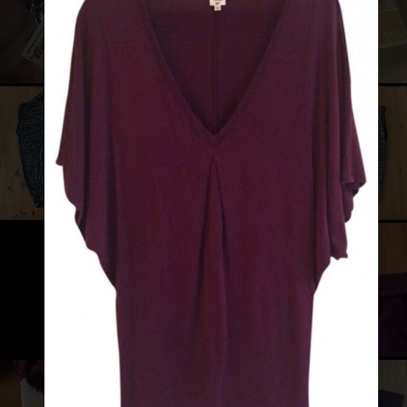 Aritzia Tops - WILFRED Batwing Blouse